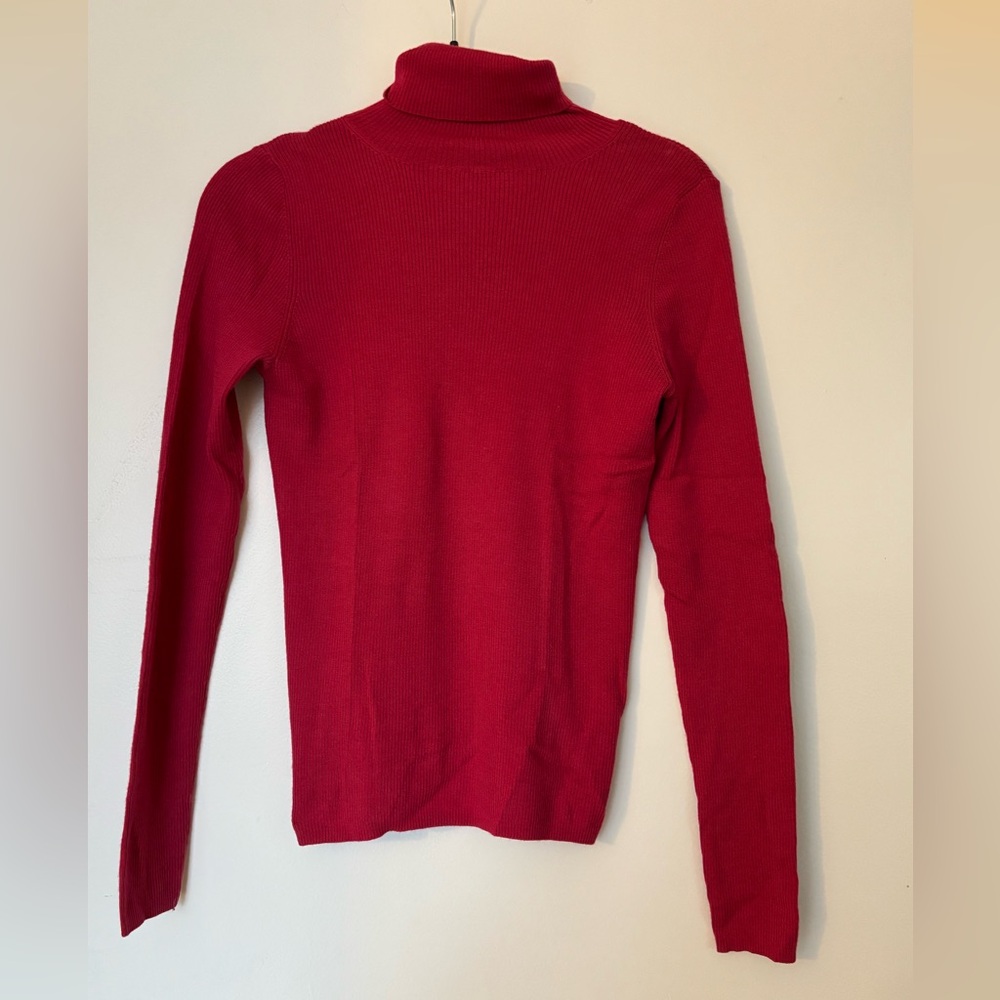 Raspberry Akris Pinto Wool and Cashmere Turtleneck Sweater